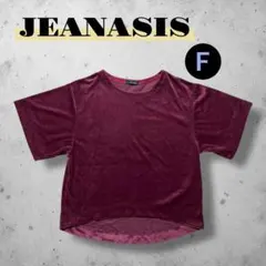 美品 ジーナシス 光沢ベロア Tシャツ モード F パープル 前後差ヘム