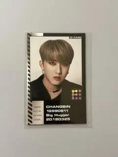 StrayKidsチャンビン“ODDINARY”封入IDフォトカード