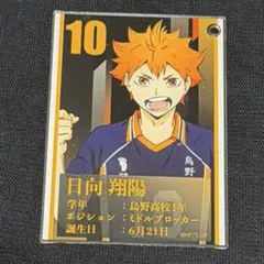 ハイキュー　トレーディングアクリルカード　日向翔陽