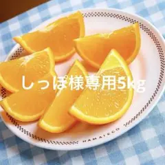 しっぽ様専用5kg