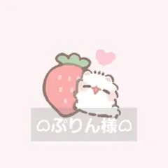 ᜊぷりん様専用ᜊ