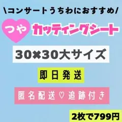 Item thumbnail for item b138abb2-959d-4822-ac02-c530f319afec