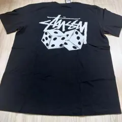 stussy Tシャツ
