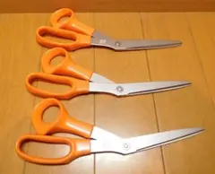 Item thumbnail for item 0ca74a62-90ea-4b51-a298-57afe63c4e3e