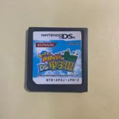 あつまれ!パワプロクンのDS甲子園