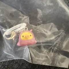 うみリラ　キイロイトリ