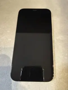 iPhone 12 Pro 本体 パシフィックブルー 128GB