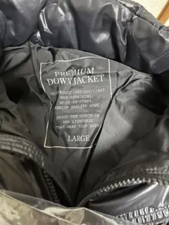 Item thumbnail for item 260126b9-5685-4d93-8a5e-1d2a5fda2a8f