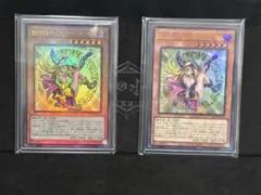 遊戯王 魔術師の弟子－ブラック・マジシャン・ガール ウルトラ 3枚