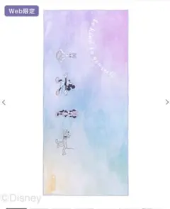 SUKALA プリントヨガラグ ディズニー　LAVA限定販売品