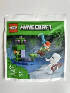 レゴ30705 マインクラフト 洞窟のアレックスとスケルトン
