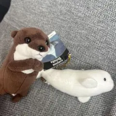 Item thumbnail for item 9f702d5a-e71e-4baf-8cca-fbaf9b61382d