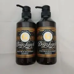 2本セット！Deep Layer エクストラグロッシー シャンプー 500mLのサムネイル