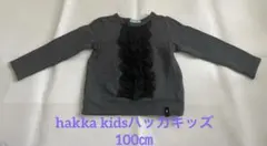hakka kidsハッカキッズ　裏毛トレーナー　100㎝☆のサムネイル