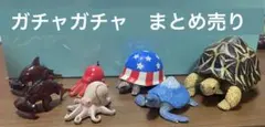 2025年最新】インドホシガメの人気アイテム - メルカリ