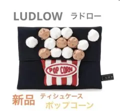 【LUDLOW】ラドロー ティッシュケース ポップコーンのサムネイル