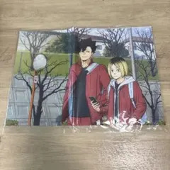 ハイキュー!! ゴミ捨て場の決戦 animation STORE 購入特典