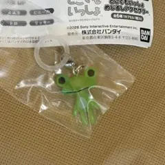 どこでもいっしょ めじるしアクセサリー　リッキー