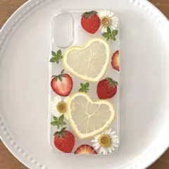 M.kubo様専用ページ⭐︎押しフルーツケース