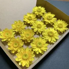 ② ヘリクリサムドライフラワー ひまわり風 花材 リース ハーバリウム