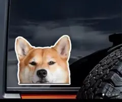 ひろちゃん様 リクエスト 4点 まとめ商品