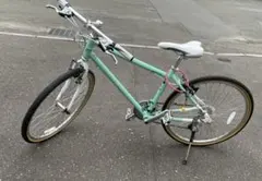 RITEWAY PASTURE マニュアル付き引き取りのみ最終値下げ