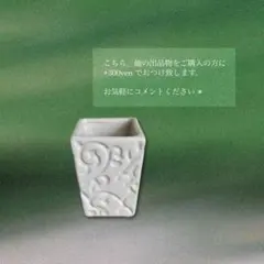 ✴︎ ミニ陶器のサムネイル