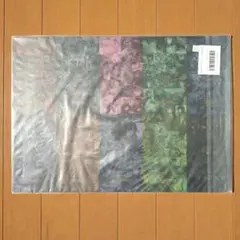 鬼滅の刃　柱イベント開幕企画　ランチョンマット硬化ケースB