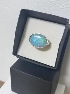 Item thumbnail for item 3d5e8a71-a164-4f6a-8611-218521652aaa