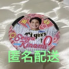 Item thumbnail for item 630556d0-b540-4685-b1f3-af084be71b2e