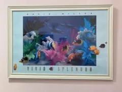 David Miller VIVID SPLENDOR 額装アート David Miller VIVID SPLENDOR 額装アート - メルカリ
