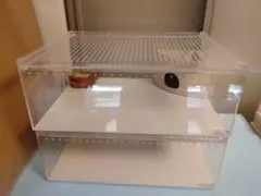 レプタイルボックスワイド 2個セット おまけ付き レプタイルボックスワイド 三晃商会 アクリル飼育ケース 販売 通販