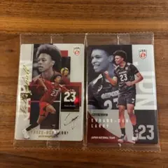 エバデダンラリー 男子日本代表 ツインウエハース カード 2枚セット