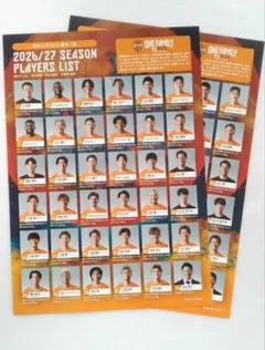 【2枚セット】清水エスパルス 2026/27 シーズン パンフレット 選手 名鑑