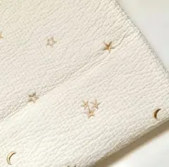 Item thumbnail for item 1a003fc4-0158-4028-979e-298d1807512a