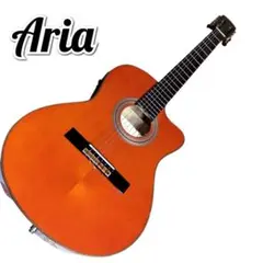 Aria A-48CE SOR FISHMAN アリア フィッシュマン ギターのサムネイル