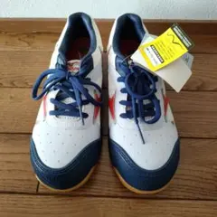 【まさぼう様専用】Mizuno 安全靴 24.5cm ホワイト/ネイビー/レッド