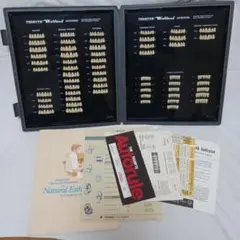 Bioblend Mould Guide バイオブレンド 人工歯見本 - メルカリ