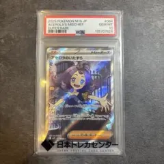 2026年最新】アセロラ sr psa10の人気アイテム - メルカリ