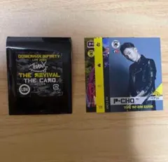 dobermaninfinity P-CHO トレカ　①