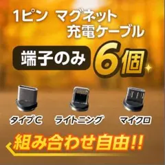 【超激安】便利 選べる端子 マグネット充電ケーブル端子 6個 アダプター