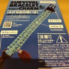 Item thumbnail for item 8fb65319-75d8-40cd-b95a-83ff915b557f