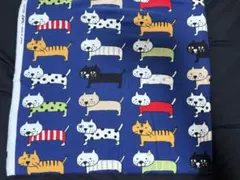 【ネル起毛】整列 ネコ ねこ BIG 猫柄 ネイビー