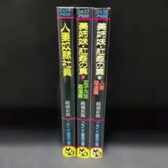 【結城彩雨】フランス書院文庫 旧版　3巻セットのサムネイル