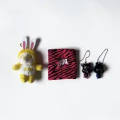 AAA グッズセット キーホルダー&リストバンドのサムネイル