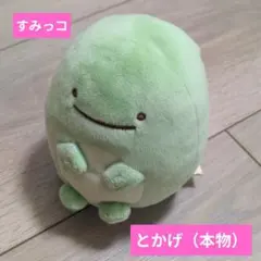 すみっコぐらし　とかげ（本物）グリーン　ぬいぐるみ　マスコット　店舗購入品