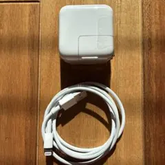 Apple 純正 電源アダプタ &ランニングケーブルセット