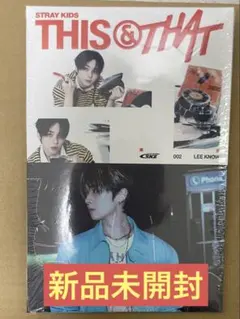 straykids This&That &ver. リノ
