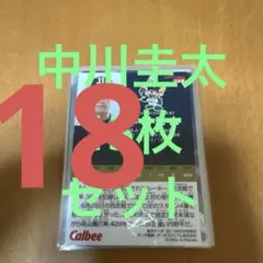 中川圭太 18枚セット