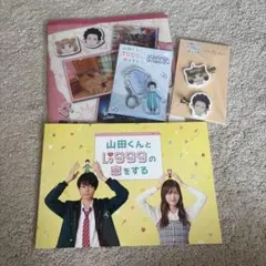 映画 山田くんとLv999の恋をする パンフレット ヘアピンセット 他